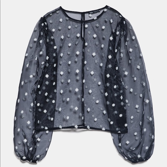 ZARA Embroidered Organza Top - Picture 7 of 7